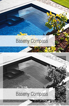 Baseny Compass