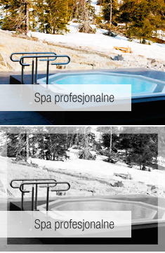 Spa profesjonalne